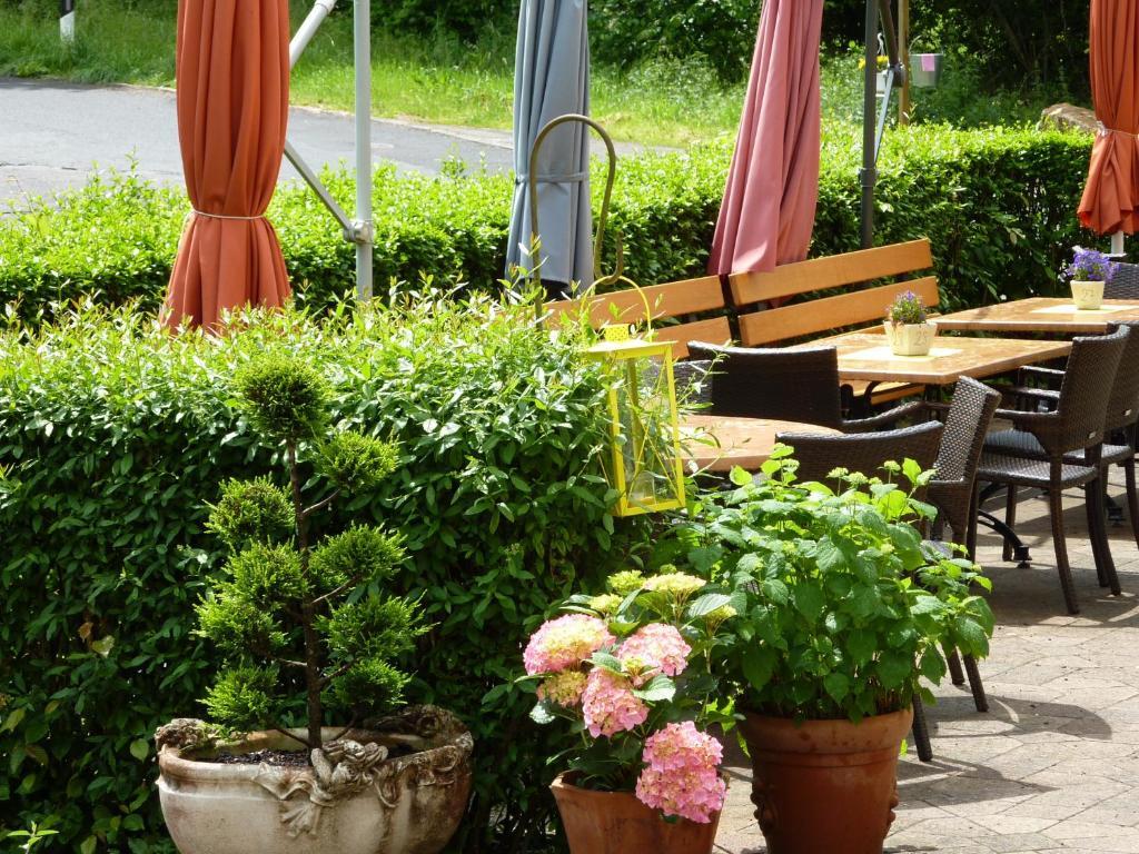 Hotel Waldschloesschen Plein Extérieur photo